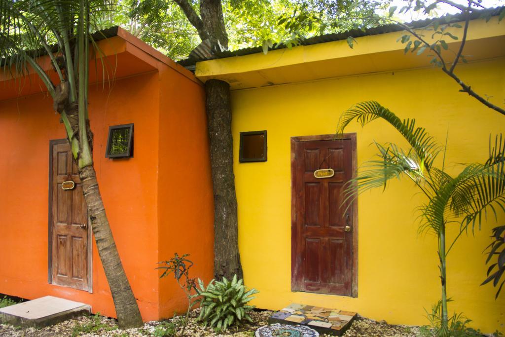 Pura Vida Mini Hostel Santa Teresa Playa Santa Teresa  Екстериор снимка